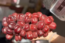 Nho trái tim Trung Quốc đổ bộ chợ Việt