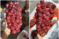 Nho trái tim Trung Quốc đổ bộ chợ Việt