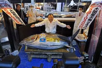 Con cá ngừ vây xanh đắt kỷ lục hơn 84 tỷ đồng 