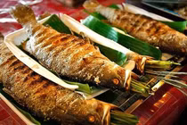 Cá tiến vua hơn nửa triệu đồng/kg hút khách