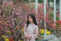 Người dân Hà Nội háo hức du xuân ngày đầu năm mới Bính Ngọ 2026