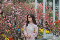 Người dân Hà Nội háo hức du xuân ngày đầu năm mới Bính Ngọ 2026