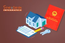 [INFOGRAPHIC] 6 trường hợp đăng ký đất đai phải cấp mới sổ đỏ