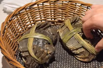 Cua lông Trung Quốc giá rẻ bán đầy chợ Việt 