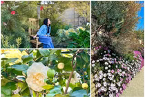 Bên trong biệt thự sân vườn đẹp như resort của Hồng Đào 