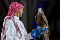 Chim ưng Mông Cổ phá kỳ lục giá 4,5 tỷ đồng 