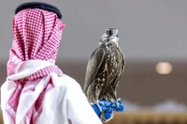 Chim ưng Mông Cổ phá kỳ lục giá 4,5 tỷ đồng 