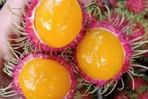 Chị em rủ nhau mua chôm chôm ruột vàng độc lạ 