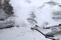 Yêu cầu giám sát chặt xử lý nước thải sau sự cố suối Bà Lúa