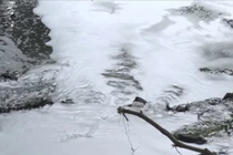 Yêu cầu giám sát chặt xử lý nước thải sau sự cố suối Bà Lúa