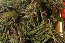 Loại rau từng là phế phẩm, nay 40 triệu đồng/kg vẫn khó mua