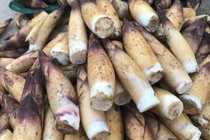 Măng vầu giá cao vẫn hút khách 