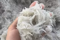 Cá "nhà nghèo" bỗng hóa đặc sản 300.000/kg ai cũng mê 