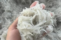 Cá "nhà nghèo" bỗng hóa đặc sản 300.000/kg ai cũng mê 