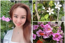 Vườn hoa tuyệt đẹp trong biệt thự 1.400m2 của Vy Oanh