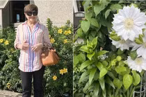 Khu vườn ngập sắc hoa của vợ cũ Đàm Vĩnh Hưng