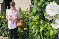 Khu vườn ngập sắc hoa của vợ cũ Đàm Vĩnh Hưng