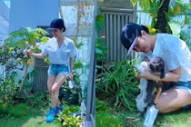 Khám phá penthouse 650m2 ngập cây xanh của diva Hồng Nhung 