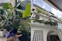 Cận cảnh biệt thự 1.000m2 ngập lá xanh mọi góc của Vân Trang