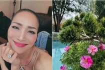 Cận cảnh biệt thự ngập hoa trái của Hồng Ngọc tại Mỹ