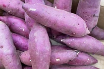 Khoai lang Nhật xách tay gần triệu đồng/kg ngon cỡ nào?