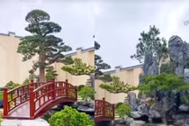 Biệt thự rộng thênh thang của "trưởng thôn trẻ giàu nhất Việt Nam"