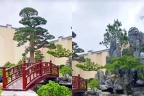 Biệt thự rộng thênh thang của "trưởng thôn trẻ giàu nhất Việt Nam"