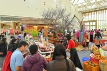 Nhiều đặc sản vùng miền hút khách tại Hội chợ Mùa Xuân 2026