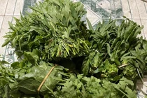 Chị em văn phòng điều chỉnh thói quen để đối phó với giá cả leo thang