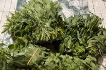 Chị em văn phòng điều chỉnh thói quen để đối phó với giá cả leo thang