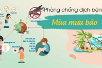 Chuyên gia mách cách kiểm soát nhiễm khuẩn tránh bệnh mưa bão, lũ lụt gây ra