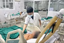 Phát hiện giun lươn giúp giải mã cơ chế E. coli xâm nhập dịch não tủy