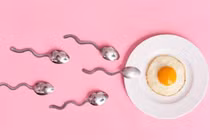 Cách tính ngày rụng trứng để thực hiện thụ thai dễ hay khó?