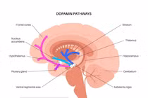 Thanh niên 22 tuổi liệt chi, tâm trí vỡ vụn vì bóng cười, bác sĩ cảnh báo 