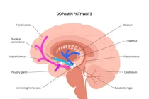 Thanh niên 22 tuổi liệt chi, tâm trí vỡ vụn vì bóng cười, bác sĩ cảnh báo 