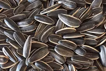 Tăng cường sức khỏe ngày Tết với các loại hạt dinh dưỡng