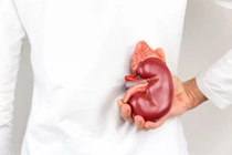 Chỉ còn một quả thận, có dẫn đến suy thận?