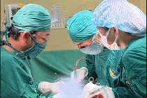 Đau hông lưng, tiểu máu không ngờ sỏi san hô khổng lồ phá hủy thận