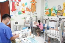 3 trẻ bị ong đốt, 1 trẻ tử vong trước khi đến viện