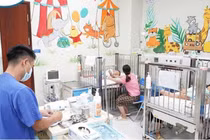 3 trẻ bị ong đốt, 1 trẻ tử vong trước khi đến viện