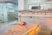 Ăn củ ấu tàu người bệnh liệt tứ chi nguy kịch