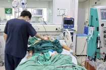 Sau mưa lũ, nhiều người nhiễm xoắn khuẩn vàng da suy gan, suy thận nặng