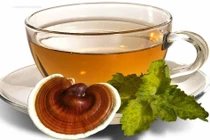 Trà thuốc chữa đau đầu, ù tai do thiểu năng tuần hoàn não