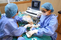 Đau đớn nhiều năm vì suy giãn tĩnh mạch chi dưới