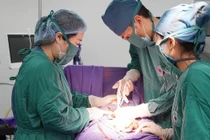 Chậm kinh đau bụng, người phụ nữ chửa ngoài tử cung đoạn kẽ nguy hiểm