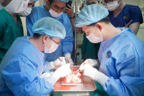 Bố hiến thận cứu con trai, ca ghép thành công ngay tại tỉnh Lào Cai