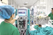 Đi bắt ngao, người đàn bà nguy kịch tính mạng vì nhiễm vi khuẩn nguy hiểm