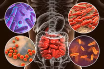 Chủ động phòng bệnh lây qua đường tiêu hoá theo mùa, khi ngập lụt