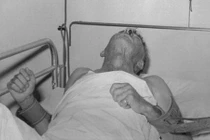 Hiểu đúng về tiêm vắc xin phòng dại, bảo vệ mạng sống trước bệnh lý nguy hiểm