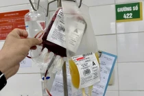 Rối loạn đông – cầm máu con đường nhanh nhất dẫn tới bệnh nặng